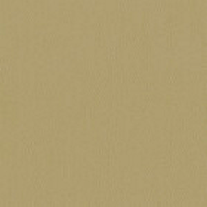 Inca 02 Swatch image for Inca 02